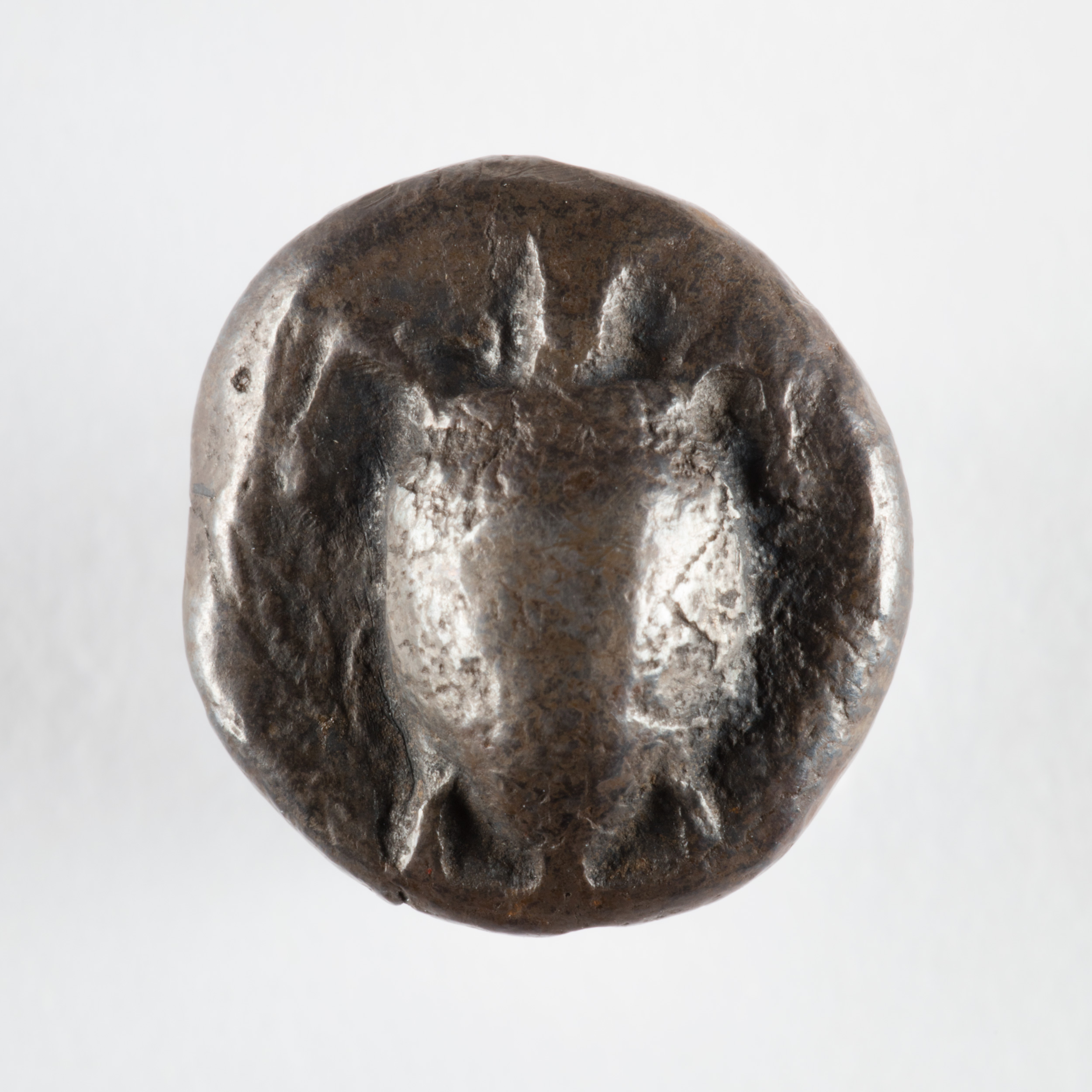 Turtle Coin